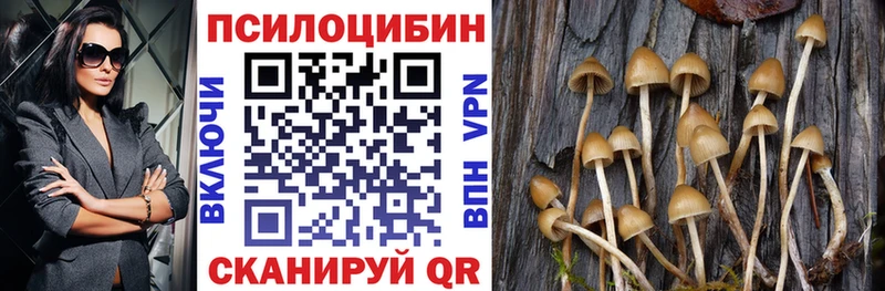 Псилоцибиновые грибы прущие грибы  Прокопьевск 